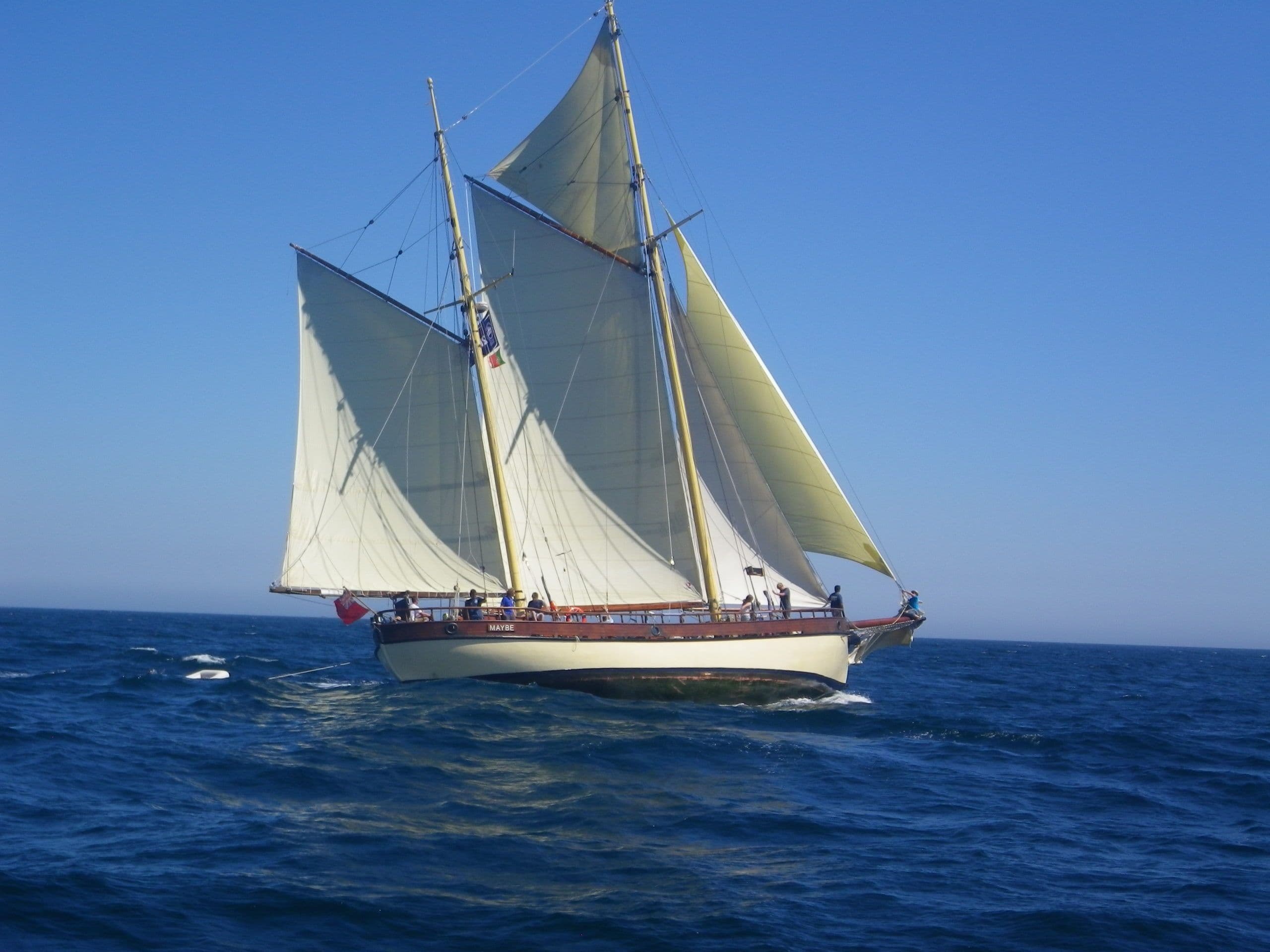 Maybe Sailing ligt schuin in het water en heeft de wind in de zeilen